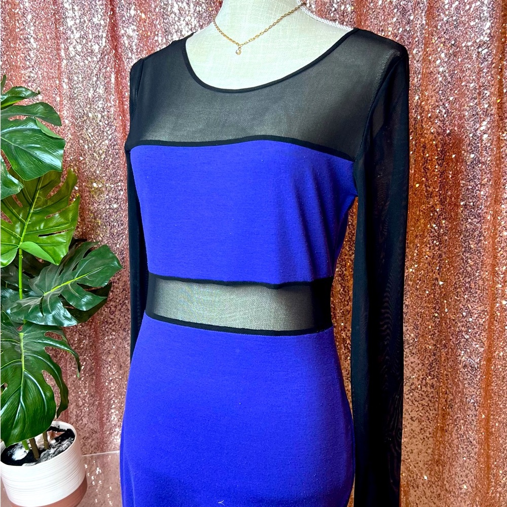 Forever 21 mesh long sleeve color block dress